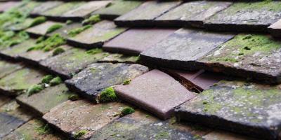 Llanarth roof repair costs